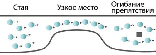 Как и рыбы, плавающие косяками, роботизированный концепт обходит препятствия, не врезаясь в соседей…