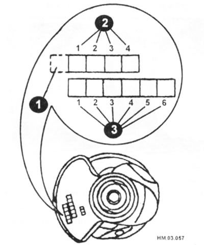 1 - ідэнтыфікацыйны код; 2 - нумар (пазнака) групы дыяметра карэннай шыйкі; 3 - нумар (пазнака)…