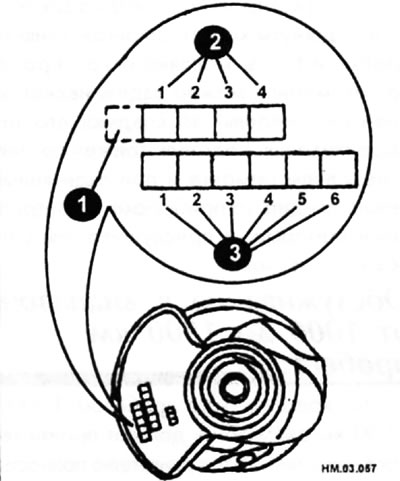 1 — идентификационный код; 2 — номер (метка) группы диаметра коренной шейки; 3 — номер (метка)…