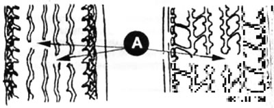 если появились две или более канавки (А) в трех местах, необходимо заменить шину.