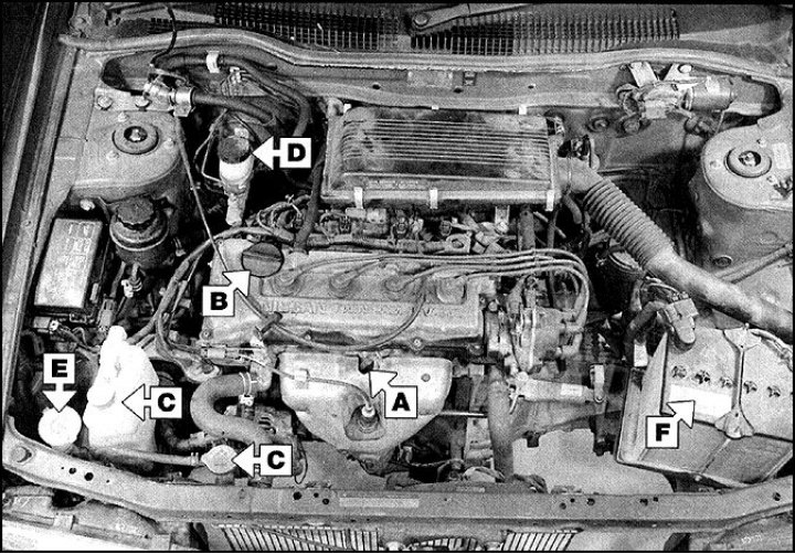 A. Щуп указателя уровня масла в двигателе; B. Маслозаливная горловина; C. Расширительный бачок…