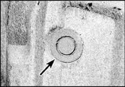 3. Пастаўце аўтамабіль на ручны тормаз і перавядзіце рычаг КПП у нейтральнае становішча. Падніміце…