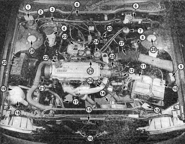 Кампаненты рухальнага адсека (карбюратарны рухавік, паветраны фільтр зняты): 1. Ідэнтыфікацыйная…