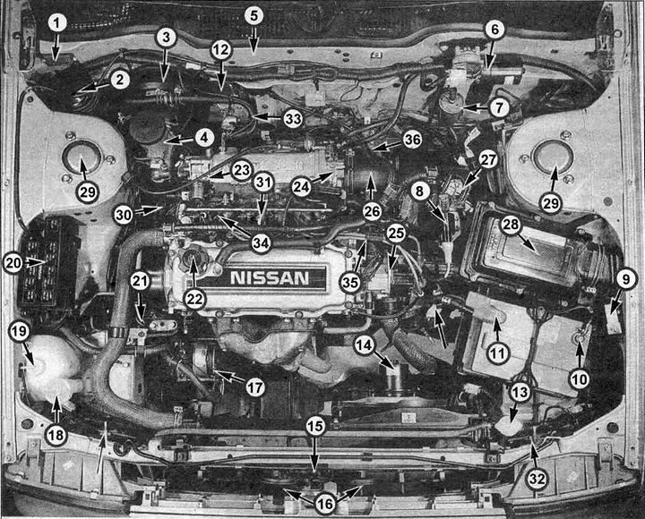 Размяшчэнне кампанентаў рухавіка і рухальнага адсека (2.0i GSX): 1. Ідэнтыфікацыйная пласціна; 2.…