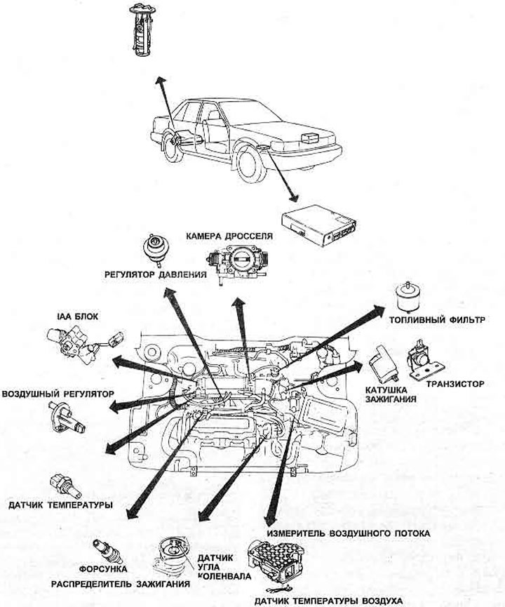 Рис. 3.53. Расположение деталей системы управления двигателем с впрыском топлива 2.0 литра