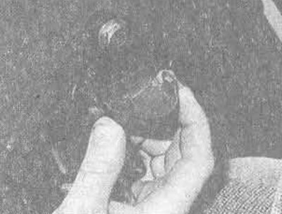 35.9. Кажух і верхні анкер рамяня бяспекі задняга сядзення