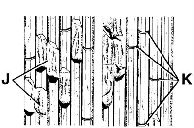 Адрыў рэбраў (J), расколіны (K)